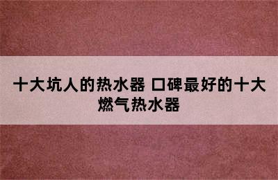 十大坑人的热水器 口碑最好的十大燃气热水器